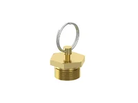 Ontwateringsklep WABCO 500304229