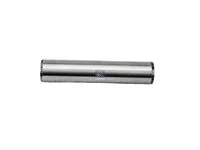 Stift DT Spare Parts 5005035168