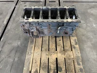 Bloc moteur DAF 1706295