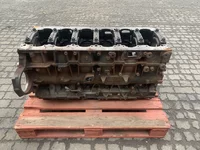 Shortblock DAF 1926342