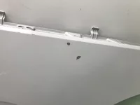 Extensão da porta Esquerdo DAF XF106 1835170