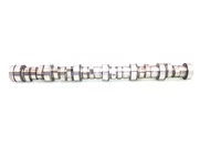 Nockenwelle DAF 1872340
