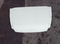 Spoiler sul tetto DAF 1876013
