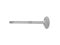 Auslassventil DT Spare Parts 8192143