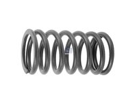 Valve spring DT Spare Parts 466384