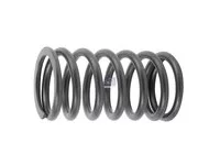 Ventilfeder DT Spare Parts 466384