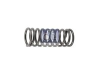Valve spring DT Spare Parts 466383