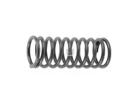 Ventilfeder DT Spare Parts 466383
