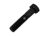 Perno DT Spare Parts 955536