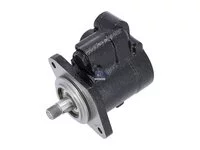 Pumpa snage DT Spare Parts 5008280