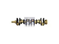 Arbore cotit DT Spare Parts 8194456