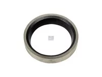 Ventilsitzring DT Spare Parts 21418352