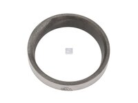 Ventilsitzring DT Spare Parts 1545886