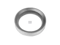 Ventilsitzring DT Spare Parts 3183228