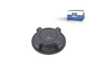 Kühlerdeckel DT Spare Parts 1674043