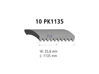 حزام المساعدة DT Spare Parts 981337