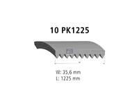 Auxiliary belt DT Spare Parts 20440011