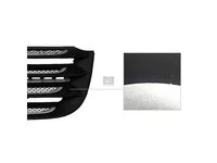 grill DT Spare Parts 1886591