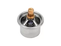 Termostat DT Spare Parts 1778819