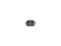 DT Spare Parts Dachleuchte Rechts 1784823