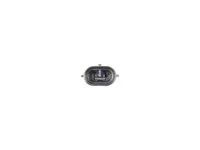 DT Spare Parts Dachleuchte Links 1784822