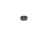 DT Spare Parts Dachleuchte Links 1784822