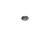 Nebelscheinwerfer DT Spare Parts 1892911