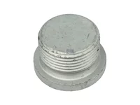 Stopfen / Kappe DT Spare Parts 5200523382