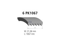 Поликлиновой ремень DT Spare Parts 5010359915