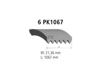 Cinghia Poly-V DT Spare Parts 5010359915