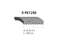 Cinghia Poly-V DT Spare Parts 5000686750