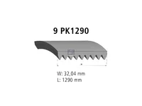 Cinghia Poly-V DT Spare Parts 5000686750