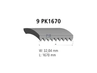 Cinghia Poly-V DT Spare Parts 5010477338