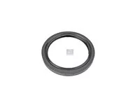 Wellendichtring DT Spare Parts 5010242655