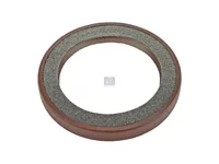 Wellendichtring DT Spare Parts 5010242792