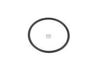 O-Ring DT Spare Parts 5010067564