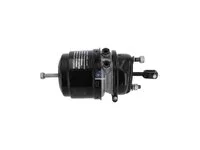Bremszylinder DT Spare Parts 5010260179