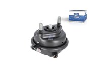 Remcilinder DT Spare Parts 5001868565