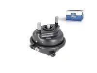 Bremszylinder DT Spare Parts 5001868565