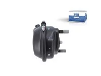 Bremszylinder DT Spare Parts 5001868566