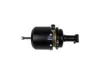 Cylinder hamulca DT Spare Parts 5010260680