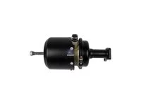 Bremszylinder DT Spare Parts 5010260680