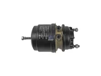 Пружинный тормозной цилиндр DT Spare Parts 7420533193