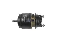 Пружинный тормозной цилиндр DT Spare Parts 7420533193