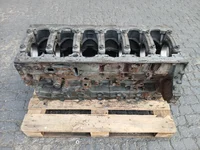 Zylinderblock DAF 2115212