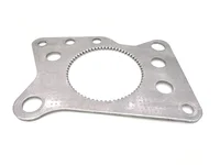 SluitPlaat DAF 2244973