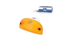 Blinkleuchte DT Spare Parts 21103284