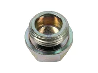 Dichtstopfen DT Spare Parts 7701042339