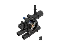 Termostat DT Spare Parts 8200074349