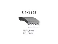 حزام المساعدة DT Spare Parts 0009936996